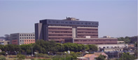 policlinico-la-terna-del-rettore